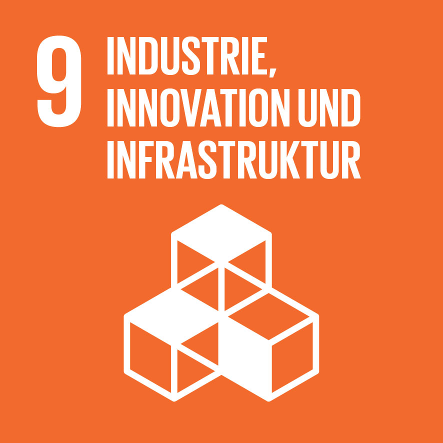 SDG Icon