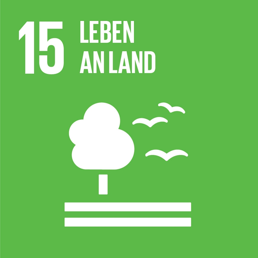 SDG Icon